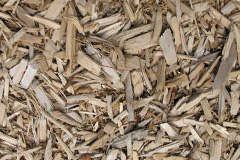 biomass boilers South Brent